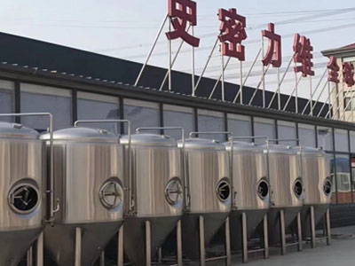 礼县精酿啤酒设备厂—如何判断精酿啤酒设备的密封件需要更换？